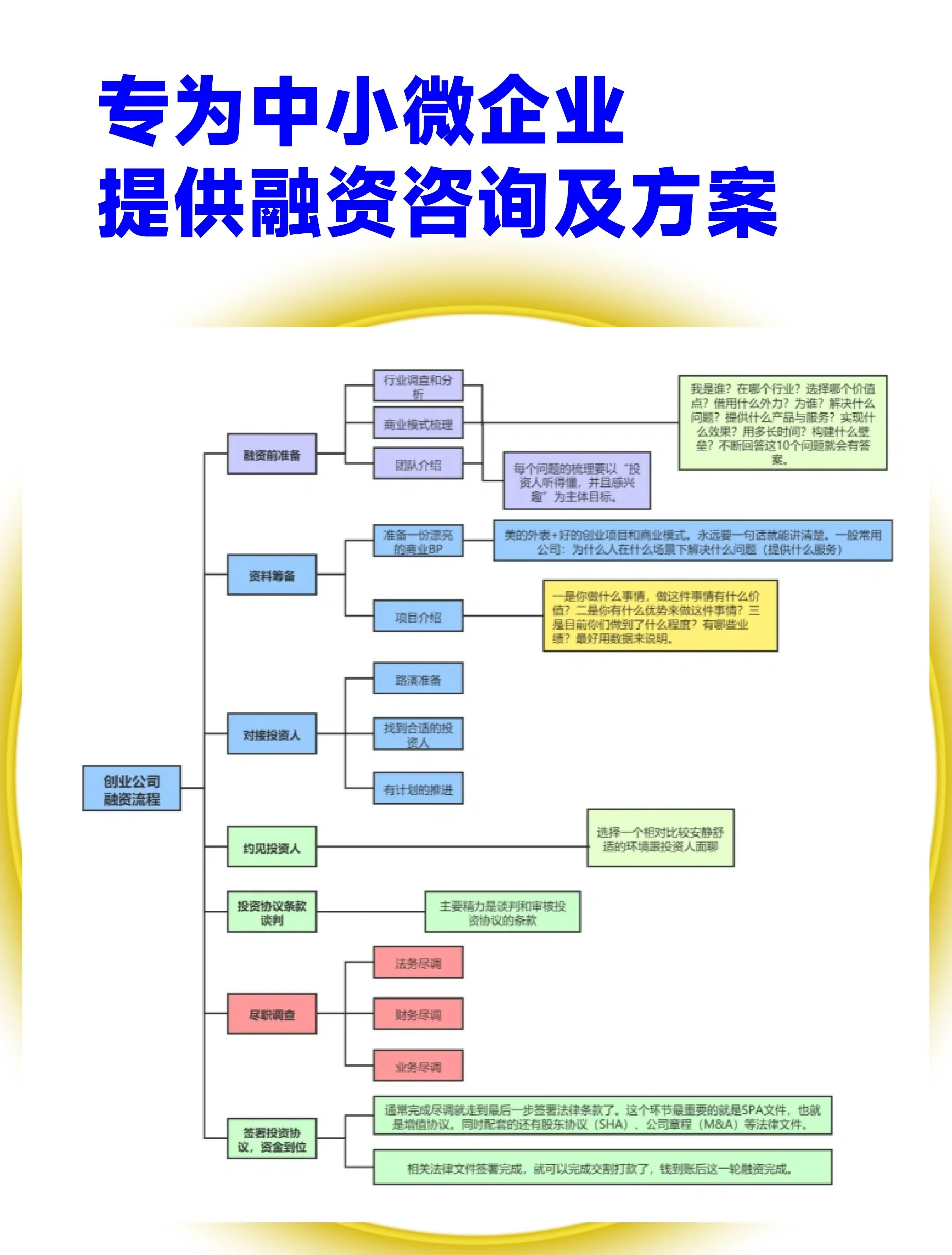 开封市宠物企业资金管理(宠物管理机构叫什么)