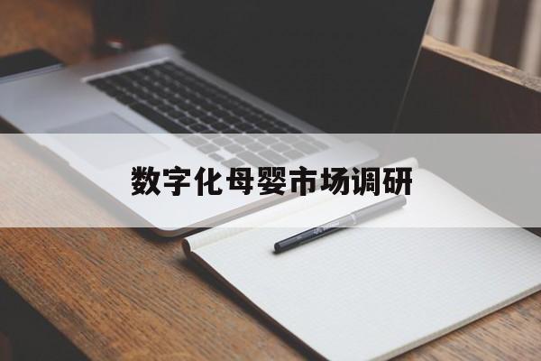 开封市数字化母婴市场调研(数字化母婴市场调研报告)